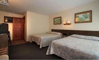 Dolphyn Motel - Hampton - 1