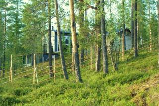 The Little Elk - Ruka - 3