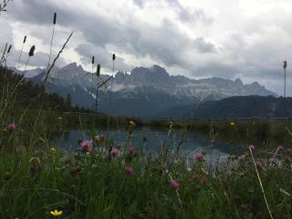 Apartments Dilln Gütl - 5