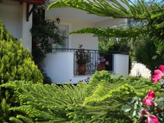Efi & Zoi Apartments - Sivota - 1