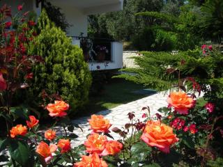 Efi & Zoi Apartments - Sivota - 2