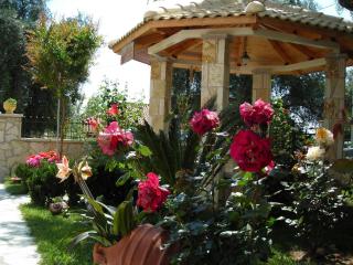 Efi & Zoi Apartments - Sivota - 1