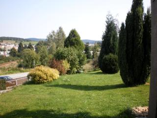 Apartman Kublovi - 1