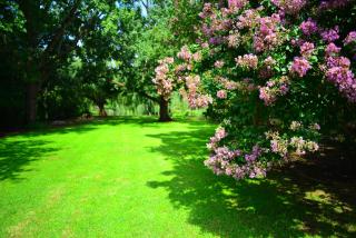 Henley River Lodge - Henley on Klip - 3