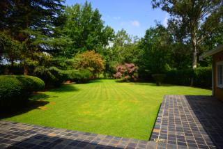 Henley River Lodge - Henley on Klip - 1