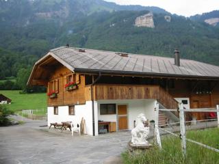 Eichhof Brienzwiler Berner Oberland - Brienzwiler - 0