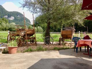 Eichhof Brienzwiler Berner Oberland - 7