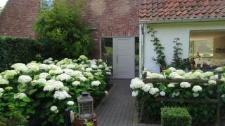 The Two Oaks - Hertsberge - 7