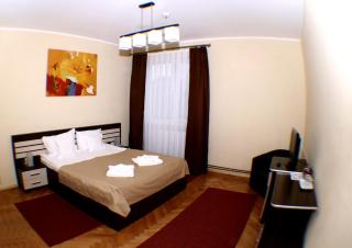 Vila Parc - Cluj-Napoca - 5
