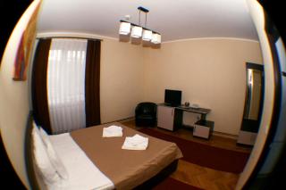 Vila Parc - Cluj-Napoca - 1