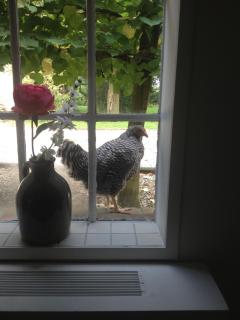 Bed en Breakfast de Houtwiel - 5