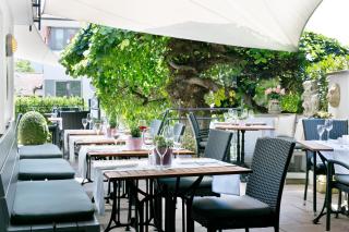 Hotel Guter Tropfen - Hagnau - 8