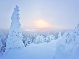 Villa Saarua by the Slopes Ski in, Family & Bike Park, hike trails, National Park, WiFi - Lapland Villas - 3