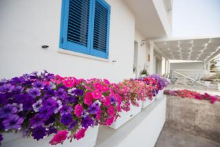 Villa Patrizia Selinunte - Marinella di Selinunte - 4
