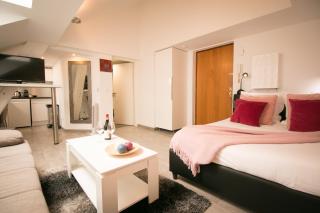 Studio La Mésange - Strasbourg - 7