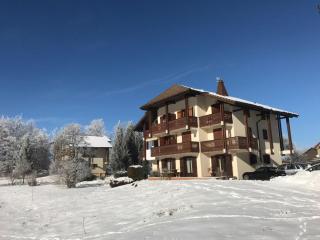 Between lake en ski resort - Thollon - 8