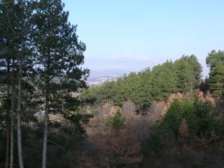 Bella Vista Apartments - 4