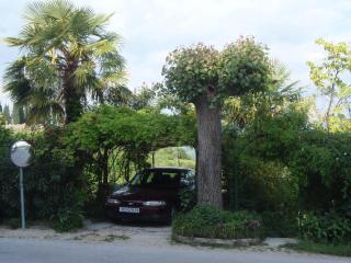 Apartments with a parking space Motovun, Central Istria - Sredisnja Istra - 14160 - Motovun - 8