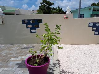 The Lush - Willemstad - 4