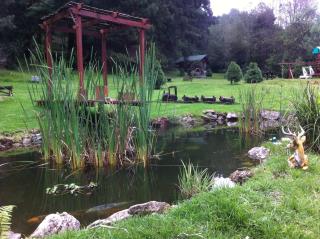 Cabañas Alpinas López Fontes - Valle de Bravo - 1