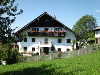 Leitingerhof - Thalgau - 0