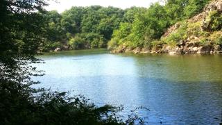 Les Fougères Du Lac - 5