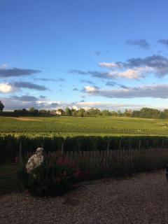 Au charmant des vignes - 2