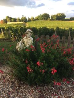 Au charmant des vignes - 3