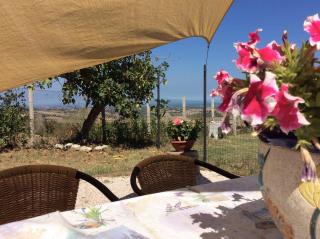 I Rondoni B&B - San Clemente - 9