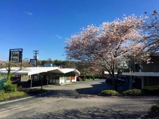 Colony House Motor Lodge - Roanoke - 2