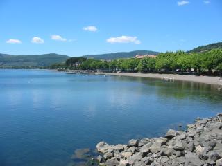 La rosa sul lago - Trevignano Romano - 7