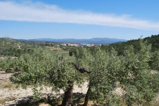 Apartamento Tramuntana - El Perelló - 5
