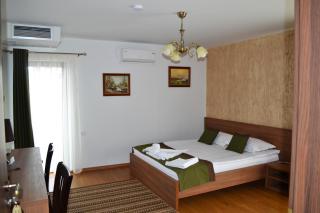 Casa Caroli - Târgu Jiu - 5