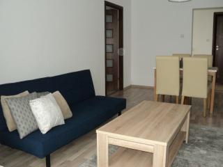 Joy Apartment - Timişoara - 4