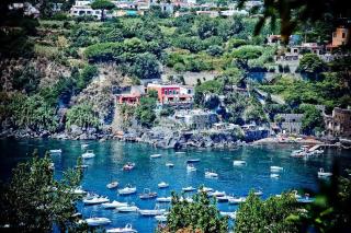 Hotel Villa Antonio - Isquia - 8