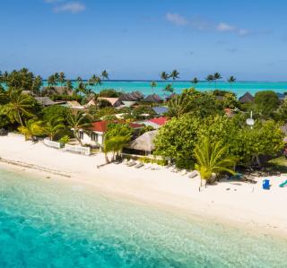 Village Temanuata - Bora Bora - 0