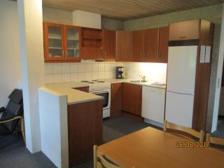 Thise Ladegaard - 4
