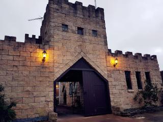 Unique Castle in Auckland - Auckland - 8