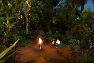 Madhumanthra Resort - Homestay - Munnar - 3