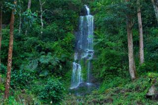 Madhumanthra Resort - Homestay - Munnar - 1