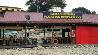 Taman Negara River View Lodge - Kuala Tahan - 2
