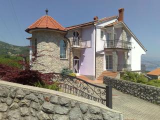 Villa Laurea - Lovran - 0