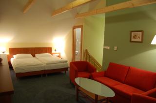 Hotel Filipinum - Jablonné nad Orlicí - 6