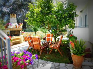 Efi & Zoi Apartments - Sivota - 5