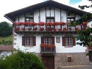 Casa Rural Bordaberea - Maya del Baztán - 0