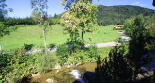 Pension mit Bergblick in Inzell - Inzell - 5