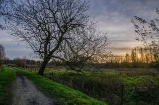 De Koolputten - Waasmunster - 3