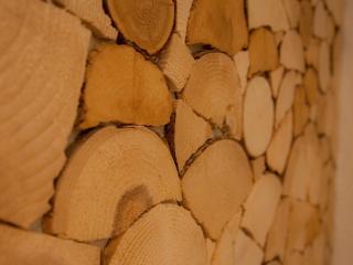 Appartement Almzeit mit Infrarotkabine - 5