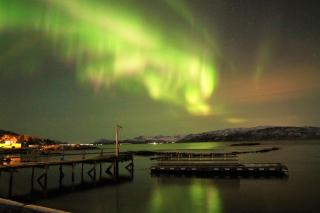 Laukvik Senja - 2