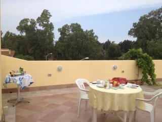 Al Ciclamino - Monastir - 8